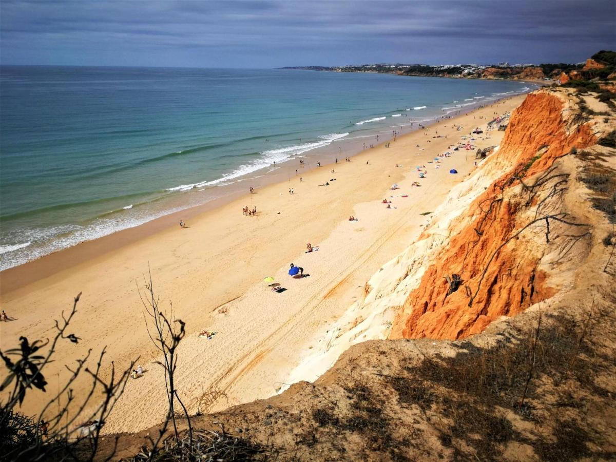 Falesia Pine Spot Albufeira Exterior foto